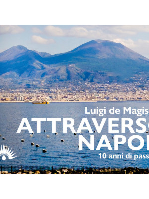Attraverso Napoli. 10 anni di passione