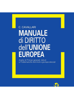 Manuale di diritto dell'Unione Europea. Analisi dei principi generali, Istituti e problematiche dottrinali e giurisprudenziali