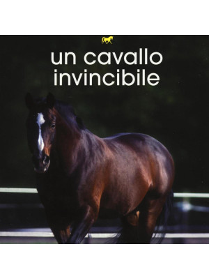 Un cavallo invincibile. Storie di cavalli. Vol. 16